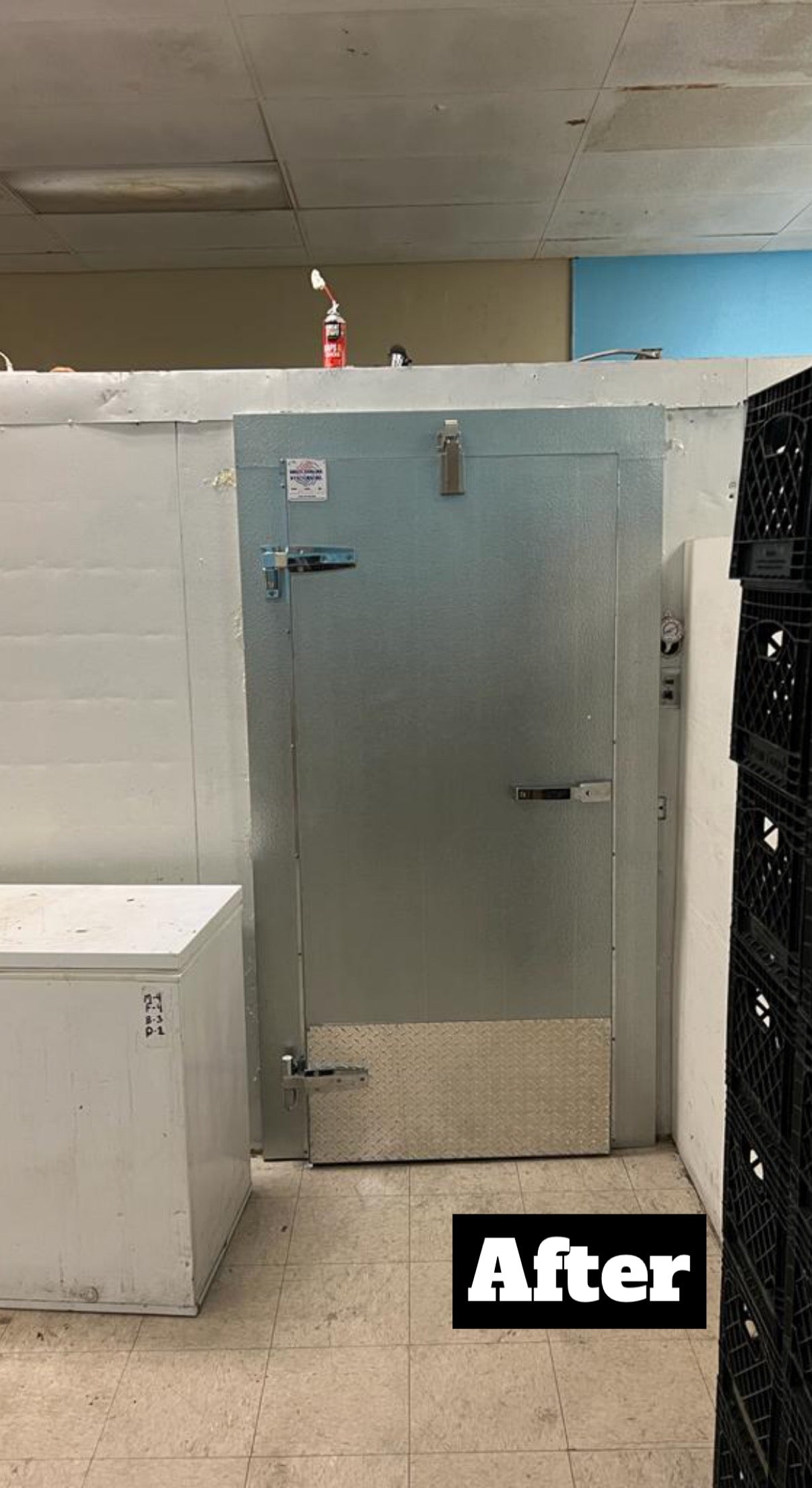 Walk-in Cooler/Freezer Plug Door