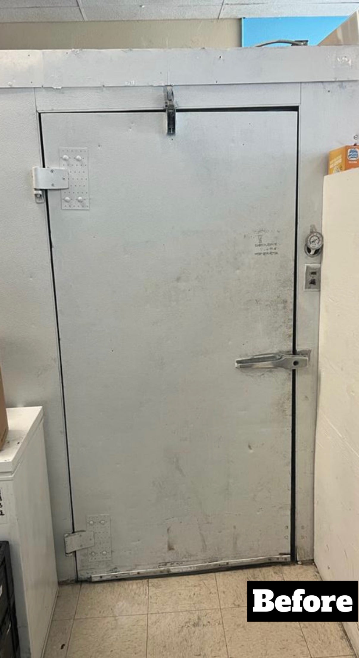 Walk-in Cooler/Freezer Plug Door